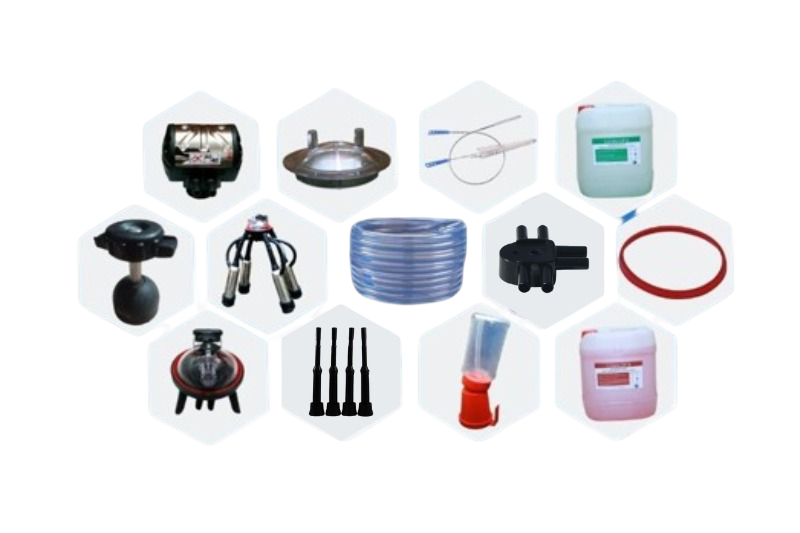 Untitled design (5) (1)