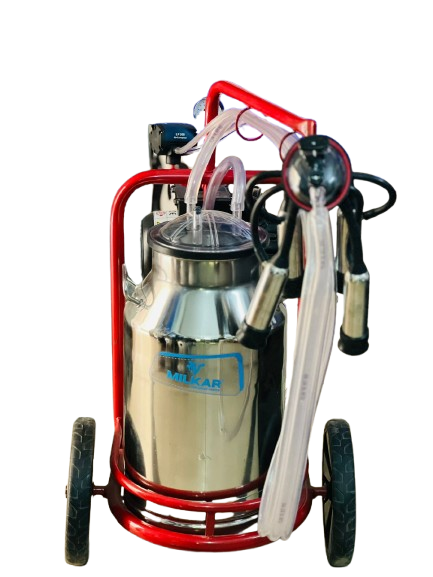 WhatsApp_Image_2025-12-05_at_13.52.05_e93edb0b-removebg-preview